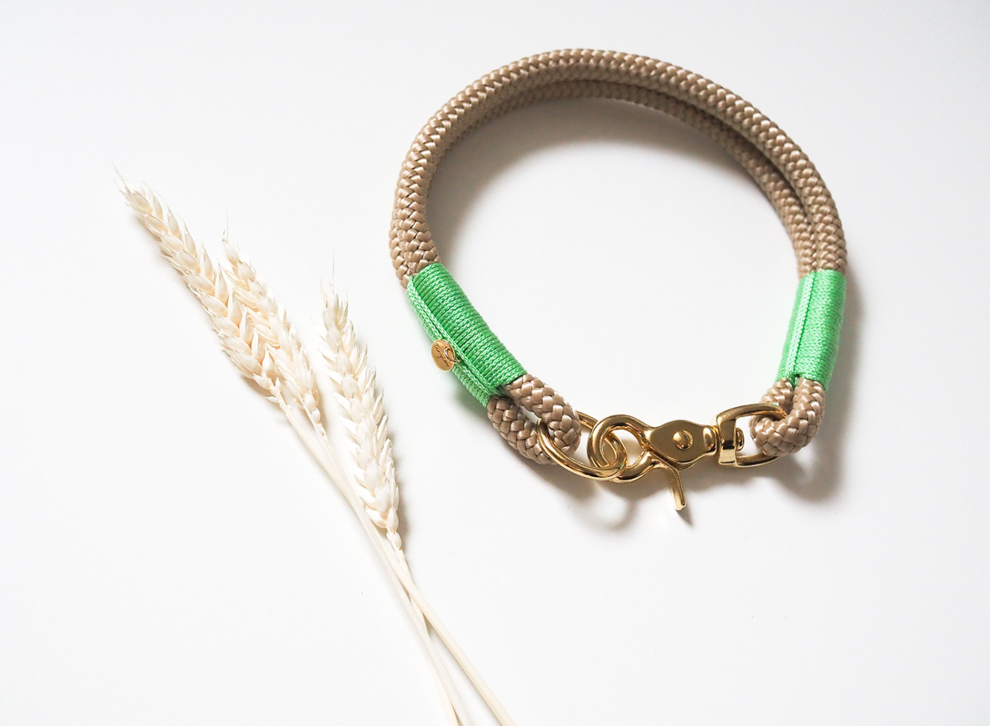 Halsband aus Tau in beige mit mintgrünen Details und goldenem Karabiner aus Messing.